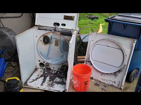 Before you Buy a New Dryer Motor, try This Simple Trick 👀