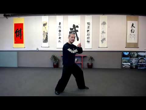 How to Push in Detail - Beginning Tai Chi at 10:00am (PDT) - Thursday, April 30th