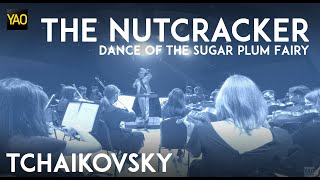 Download lagu The Nutcracker Suite Op 71a Dance of the Sugar Plu... mp3