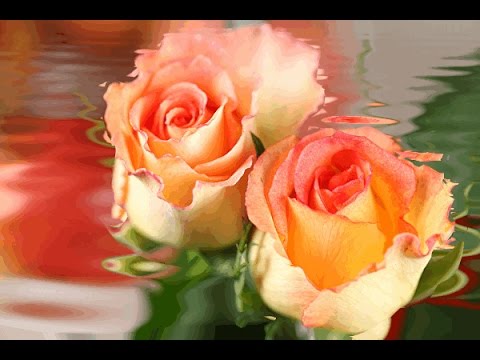 So manchmal denke ich zurück an meine vergangene Zeit !