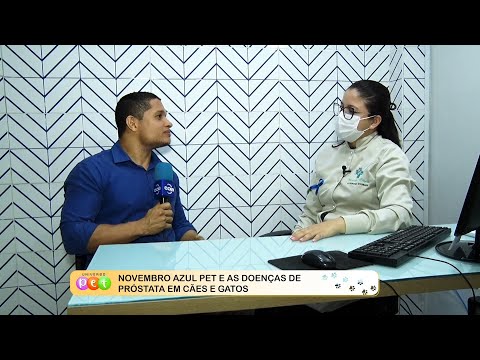 Novembro Azul PET e as doenças de próstata em cães e gatos 21 11 2022