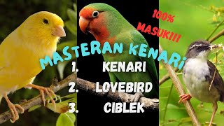 Download lagu MASTERAN KENARI ,CIBLEK DAN LOVEBIRD!!!JEDA 100% JERNIH mp3 Download lagu MASTERAN KENARI ,CIBLEK DAN LOVEBIRD!!!JEDA 100% JERNIH mp3