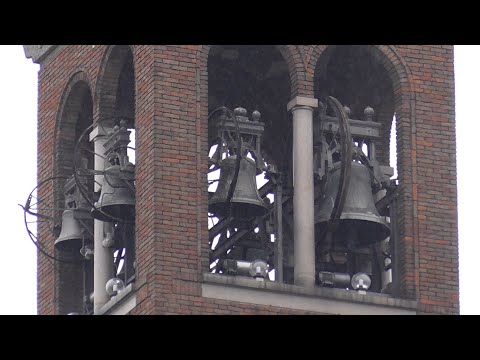 Epifania del Signore 2024 - le campane di Capralba (CR) - Concerto solenne