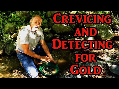 Using the gold pan and a detector to find where the best gold is.