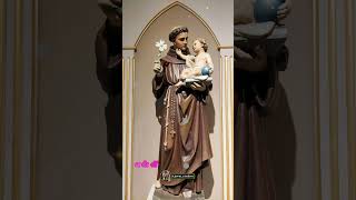 Download lagu kartharai Karathil Enthi|கர்த்தரை கரத்தில் ஏந்தி|St.Antony WhatsApp status#catholictamilsong #shorts mp3