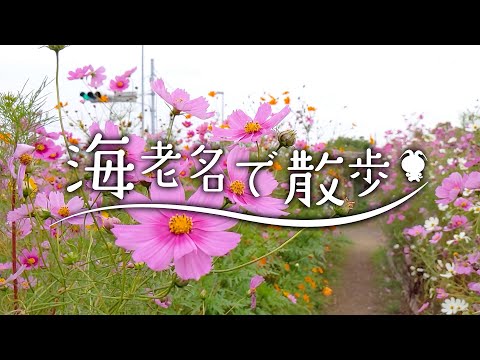 海老名で散歩～市内の秋巡り～