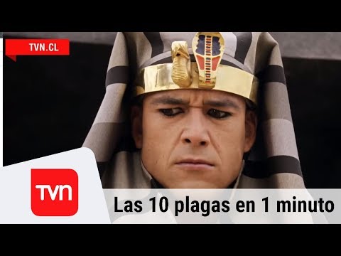 Las 10 plagas en 1 minuto  - Moisés y los diez mandamientos