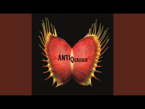 Quem Vocé É - Antiquárius