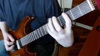 Psycroptic - (Ob)servant - guitar cover