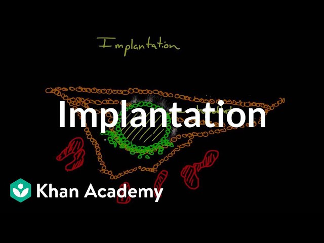 Video Pronunciation of trophoblast in English Video Pronunciation of trophoblast in English