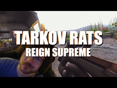Peacefully ratting the Norvinsk region, Tarkov