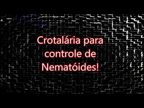 , title : 'Crotalária para controle de Nematóides'