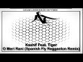 Kashif Feat Tiger O Meri Rani Spanish Fly Reggaeton Remix