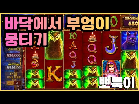 [슬롯][제보영상][닉네임:뽀룩이]마담