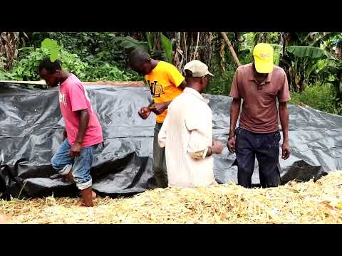 Step by Step in silage making