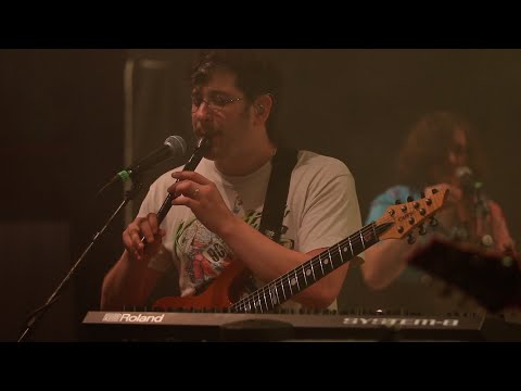 The Assembly - Live at Crescendo 2024 | An Endless Sporadic