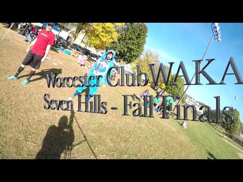 Slug 'Em Back VS Shenanigans - Finals 2017 Fall Playoffs