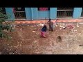 Video Shows Two Women Trashing 16 Puppies To Death In Kolkata