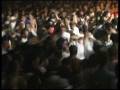 Rancid - I Am Forever