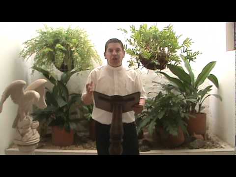 EVANGELIO DIARIO 14 DE AGOSTO 2011 - PARROQUIA LA SAGRADA FAMILIA