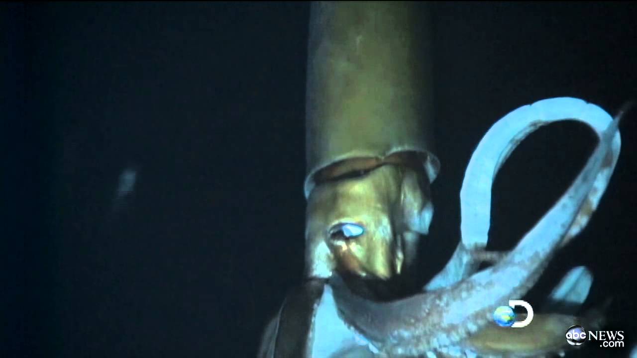 Video: Watch That Giant Squid Attacking A Submarine