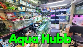 Aquarium Fish Price at Aqua Hubb