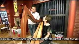 Celtic Harpist Anne Roos 