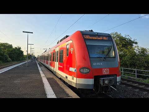 S-Bahn Rhein-Main Mitfahrt auf der S6 von Groß Karben bis Darmstadt Hbf im 423 374