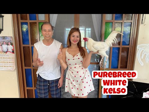 Bagong White kelso pang refresh sa Farm || Biboy Enriquez ❤️