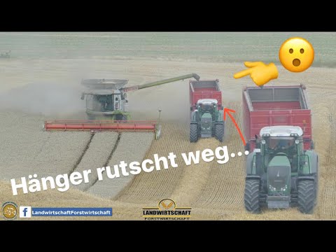 Getreideernte 2020 - 2x Claas Lexion 760 & Fendt 1046 Vario im Großeinsatz  Lebensmittel Produktion