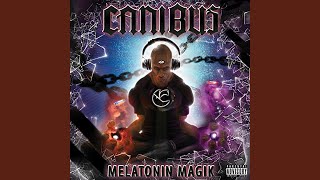 Melatonin Magik Intro
