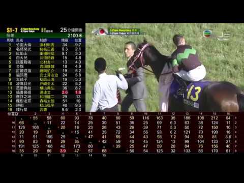 2019 日本橡樹大賽 Yushun Himba 優駿牝馬 唯獨愛你 Loves Only You ラヴズオンリーユー