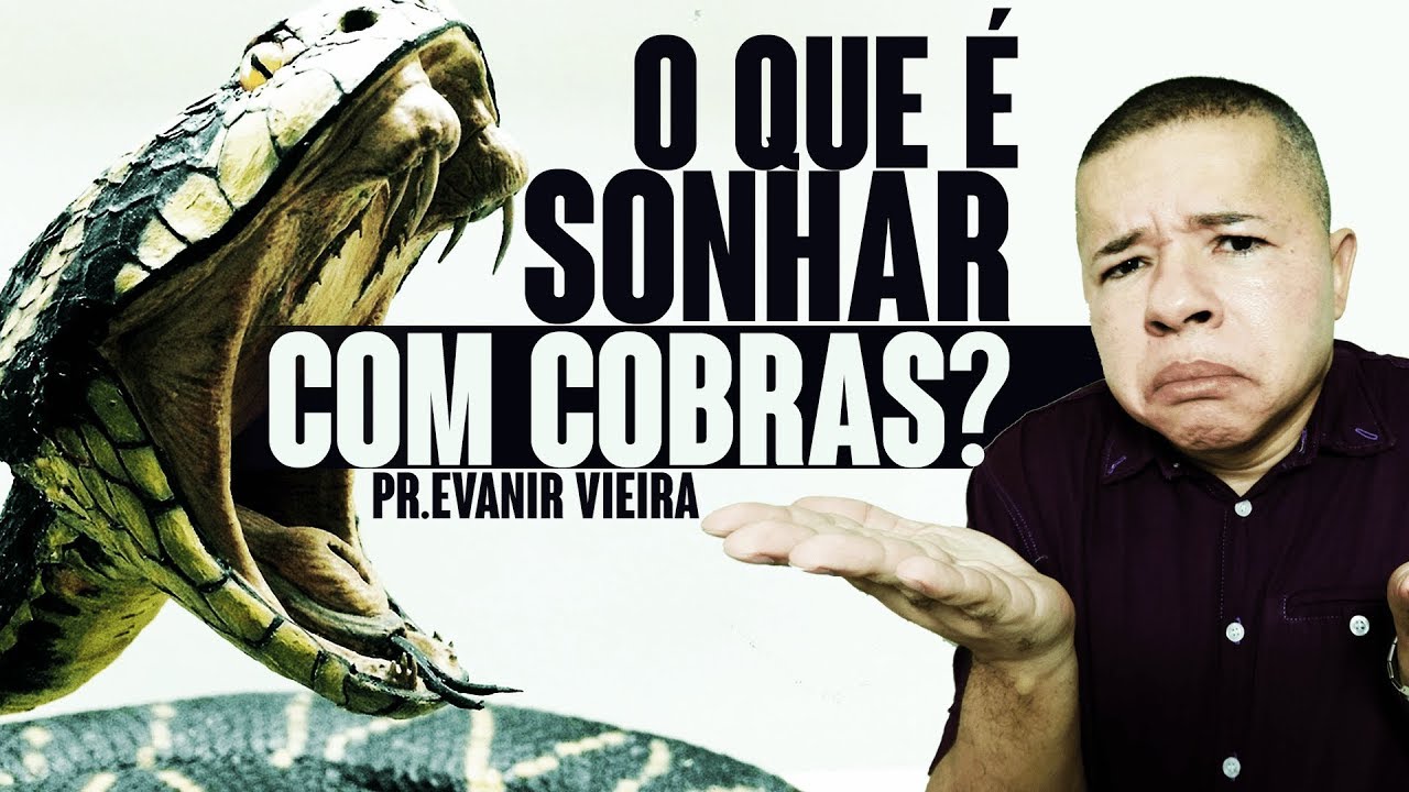 O QUE SIGNIFICA SONHAR COM COBRAS? (4 dicas)