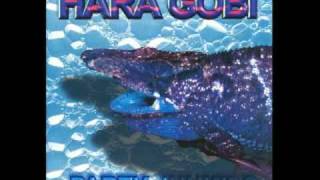Hara Gobi - Party Junkie
