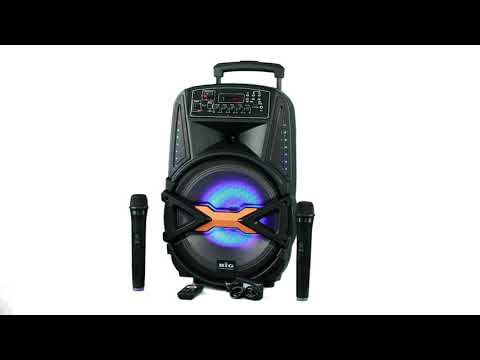 Портативная акустическая система BIG 250BAT USB/MP3/FM/BT/TWS + 2pcs VHF mic