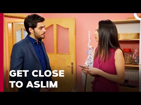 The New Plan Begins - Can't Stop Loving You