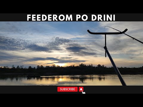 Feeder pecanje na Drini