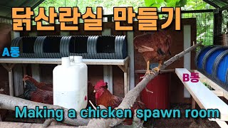 배수관으로 닭 산란실 만드는 방법 알려 드릴께요 실용적인 닭 알통를 만들었습니다. Making a chick…