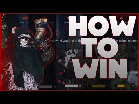 EWOK HUNT Tips & Tricks