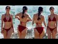 Actress Vedhika Hottest Bikini Video Vedhika Bikini Videos Actress Vedhika GLAMOROUS Visuals