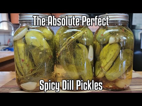 The Absolute Perfect Spicy Dill Pickles