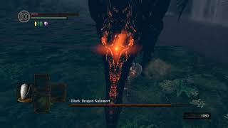 Black Dragon Kalameet (SL1, fist only) (no hits taken)