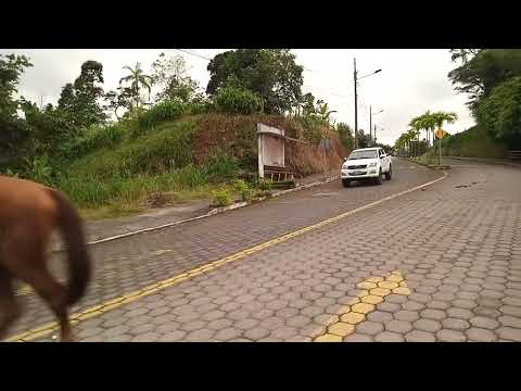 HORSE-BACKED RIDING IN HUAMBOYA-MORONA SANTIAGO-ECUADOR