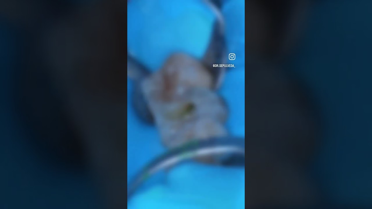 Javier Rodriguez Sepulveda-15