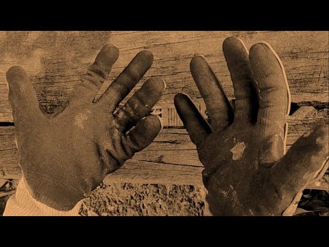 As Lágrimas do Carrasco| Curta Metragem