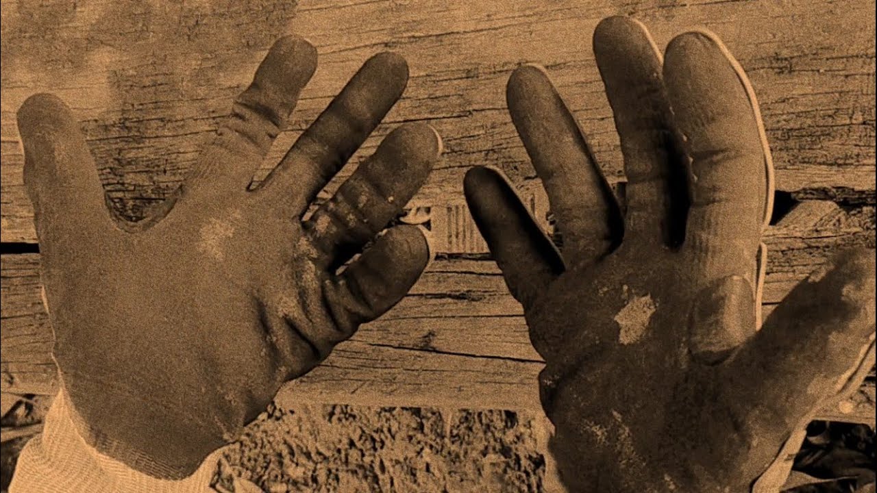 As Lágrimas do Carrasco| Curta Metragem