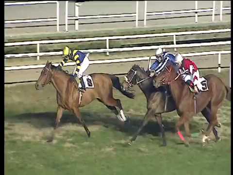 Galoppo 20/12/2017 - 6ª corsa