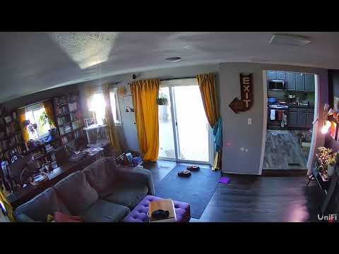 Full house cat scramble