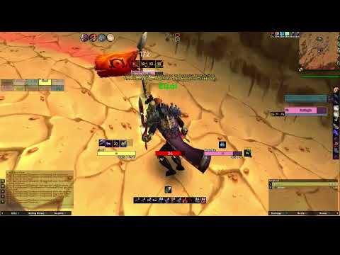 Rogue vs Paladin Flag carrier WSG