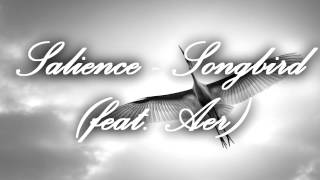 Salience - Songbird (feat. Aer) [Remix]